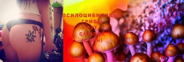 кокс Аркадак