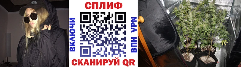 Канабис семена Бежецк